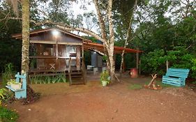 Casa das violetas